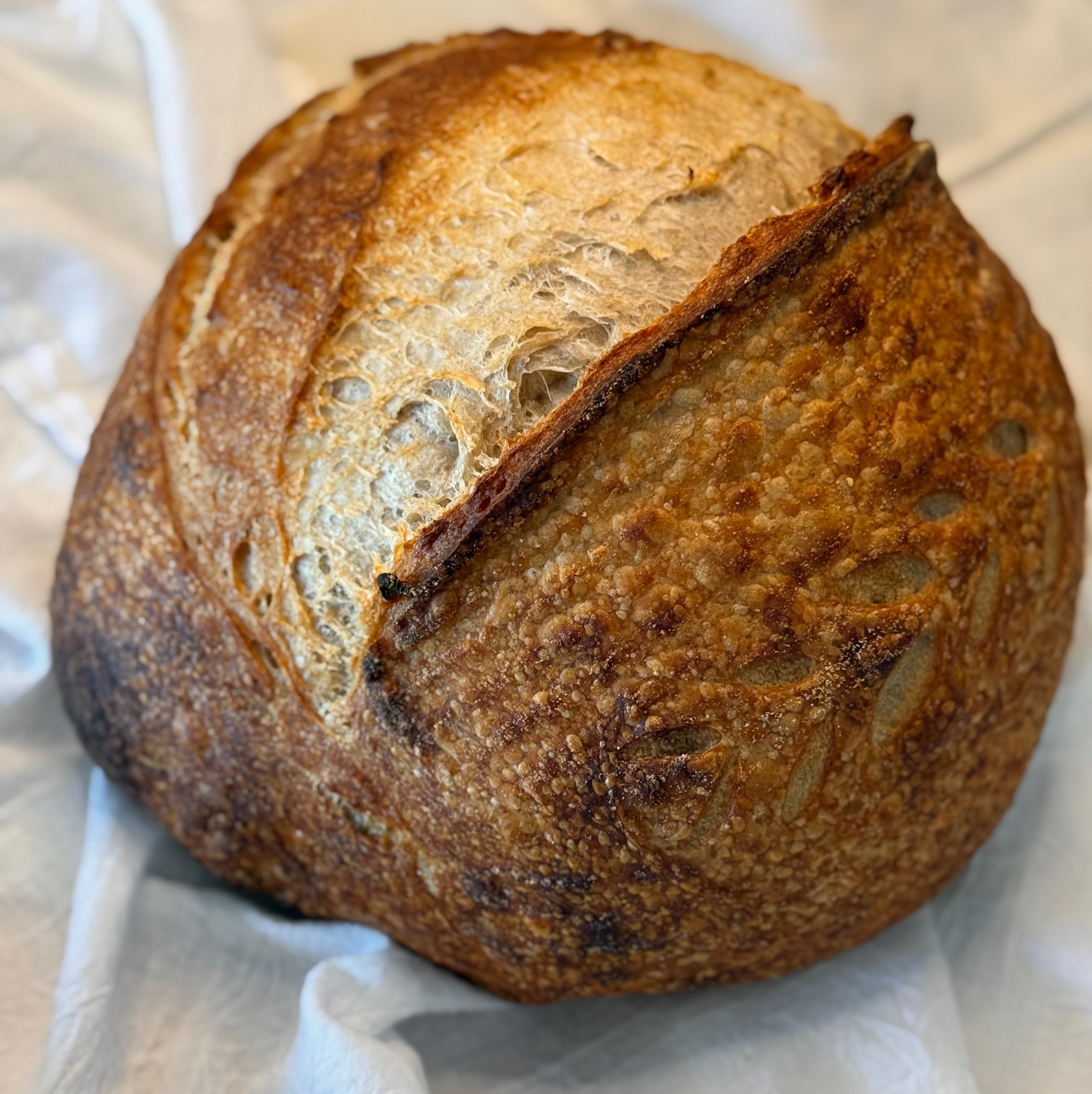 "Papa Bread"