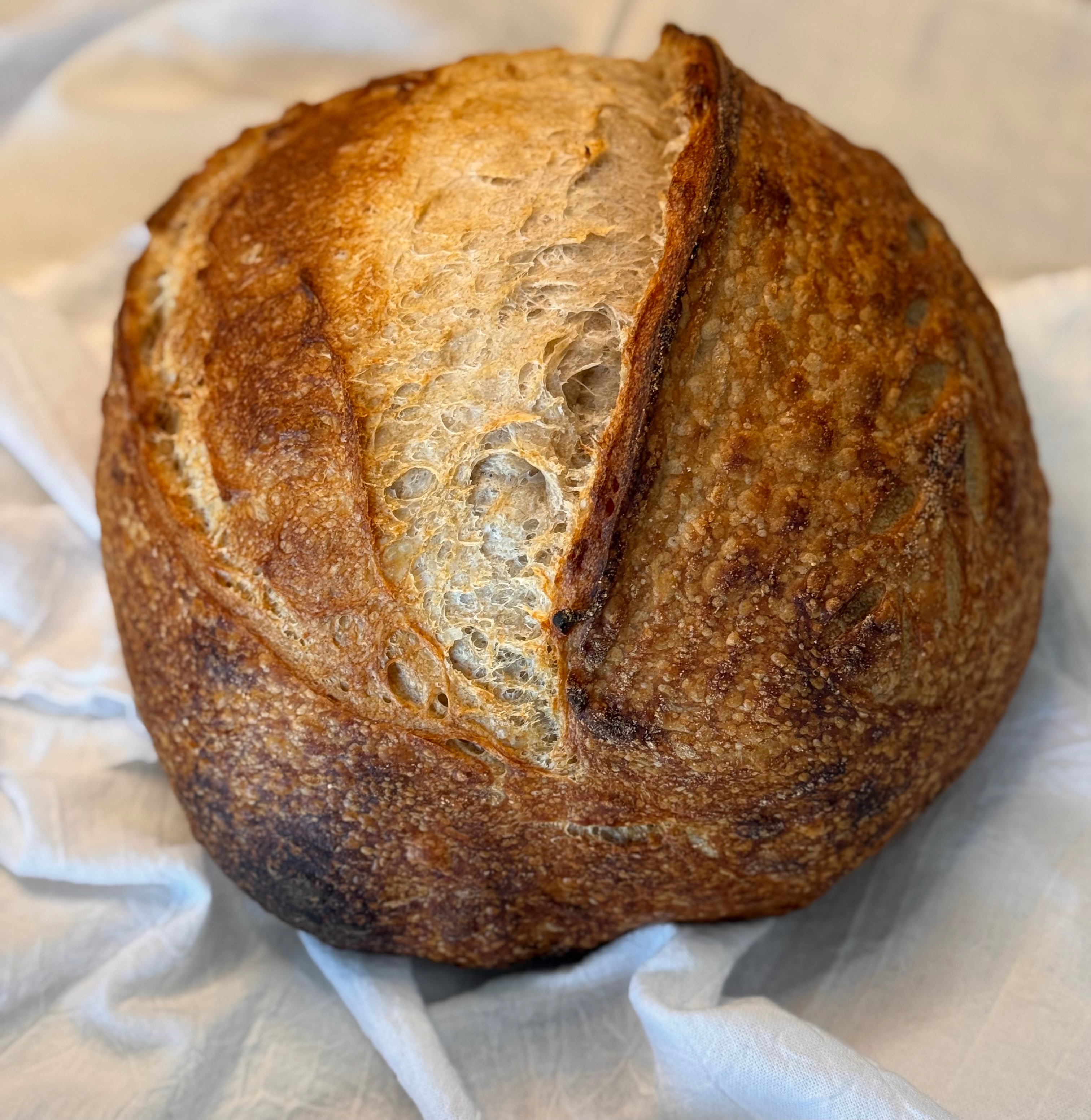"Papa Bread"