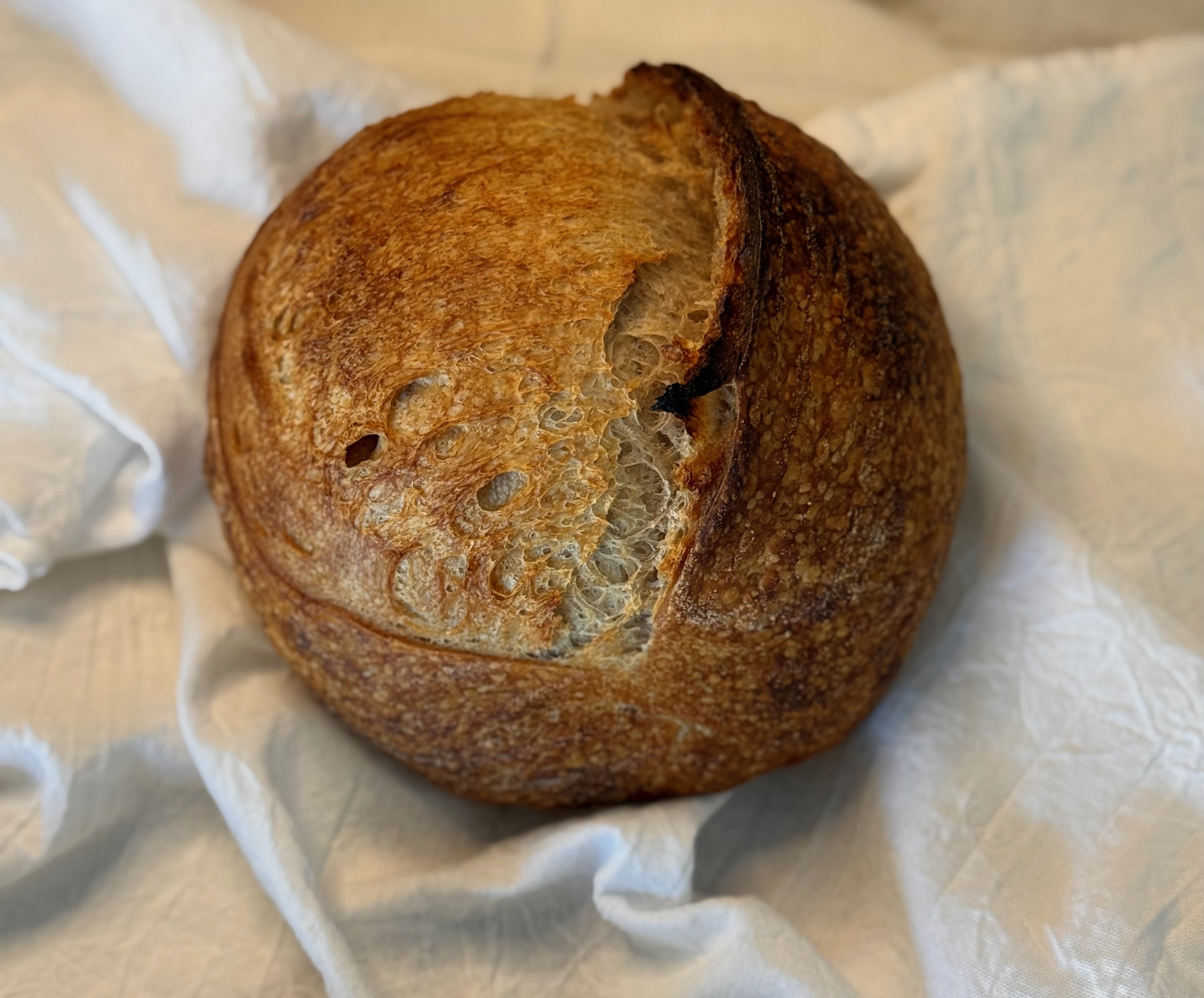 "Papa Bread" Halfling