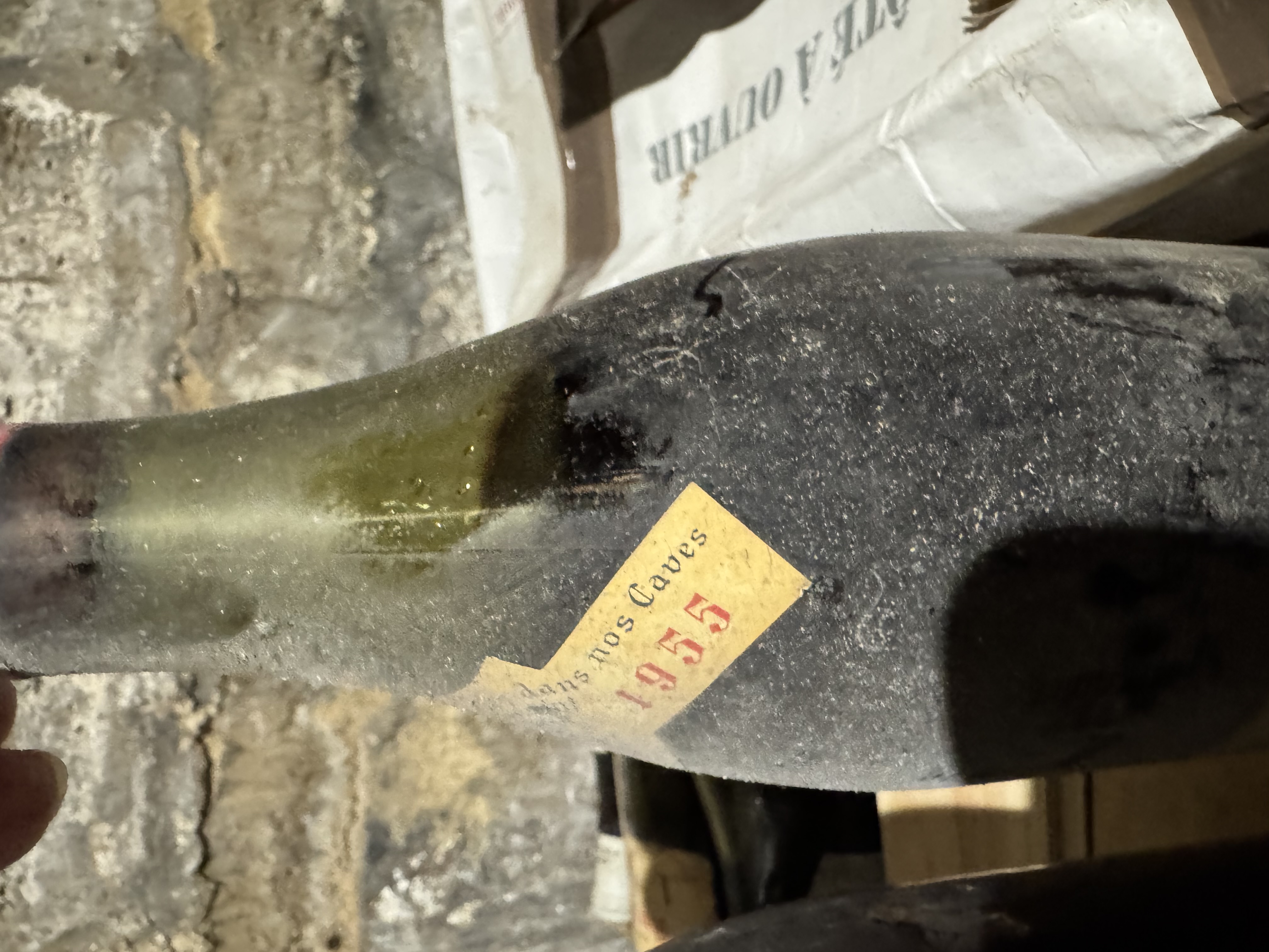 1955 Vintage Red Wine Bottle