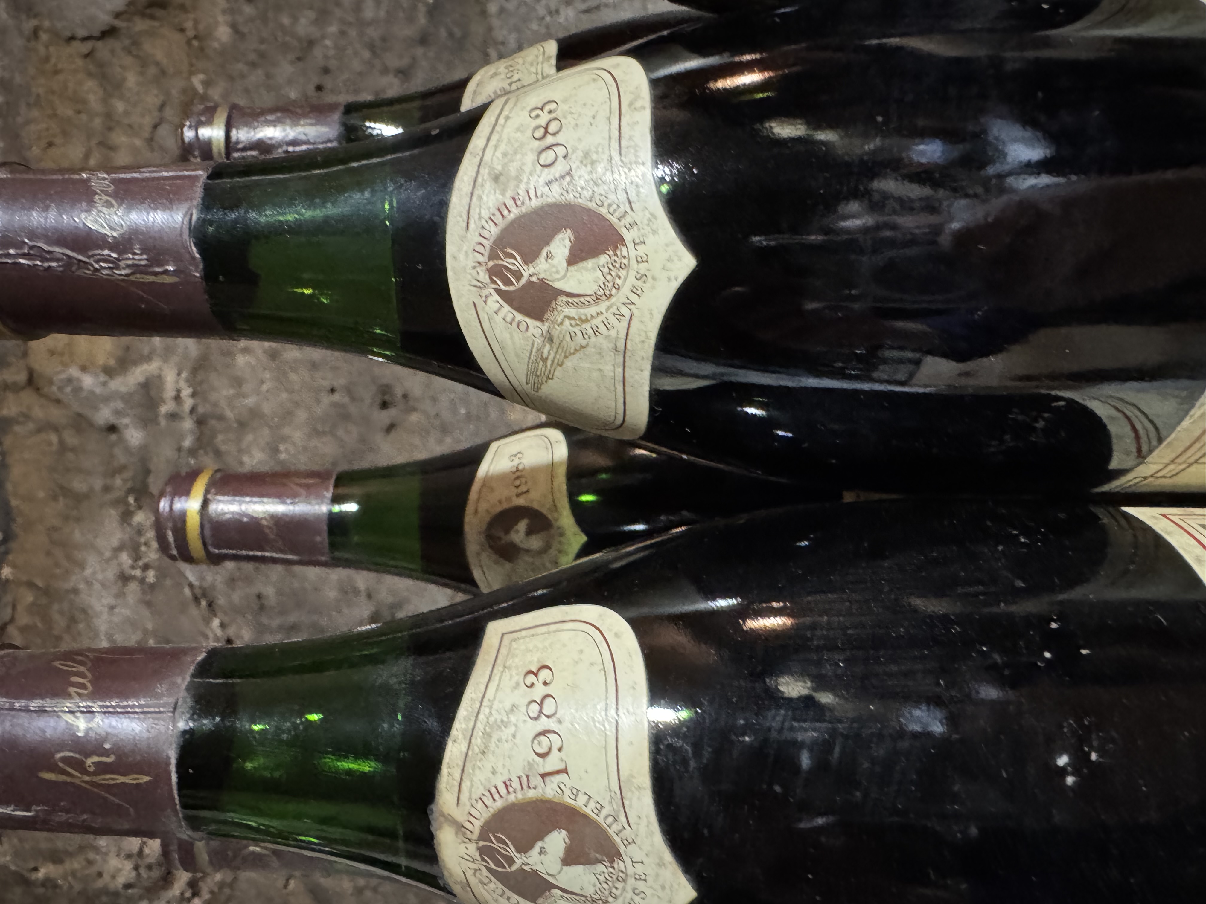 Chinon Red Wine Vintage Collection