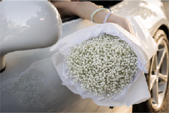 Gypsophila (White)
