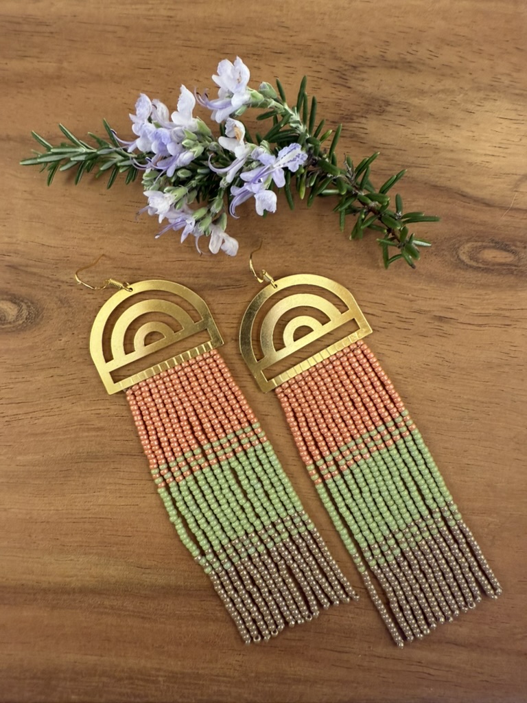 Rainbow Beaded Fringe Earrings