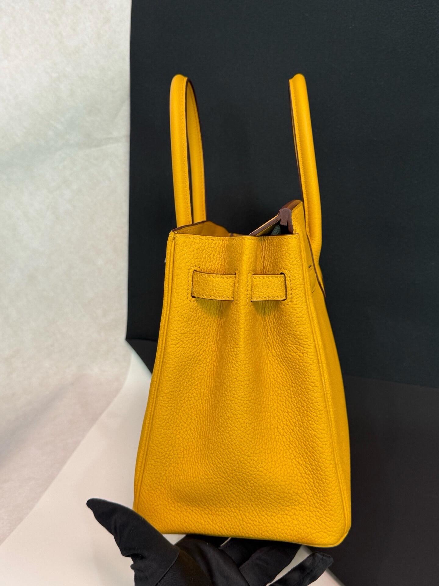 Birkin 30togo leather