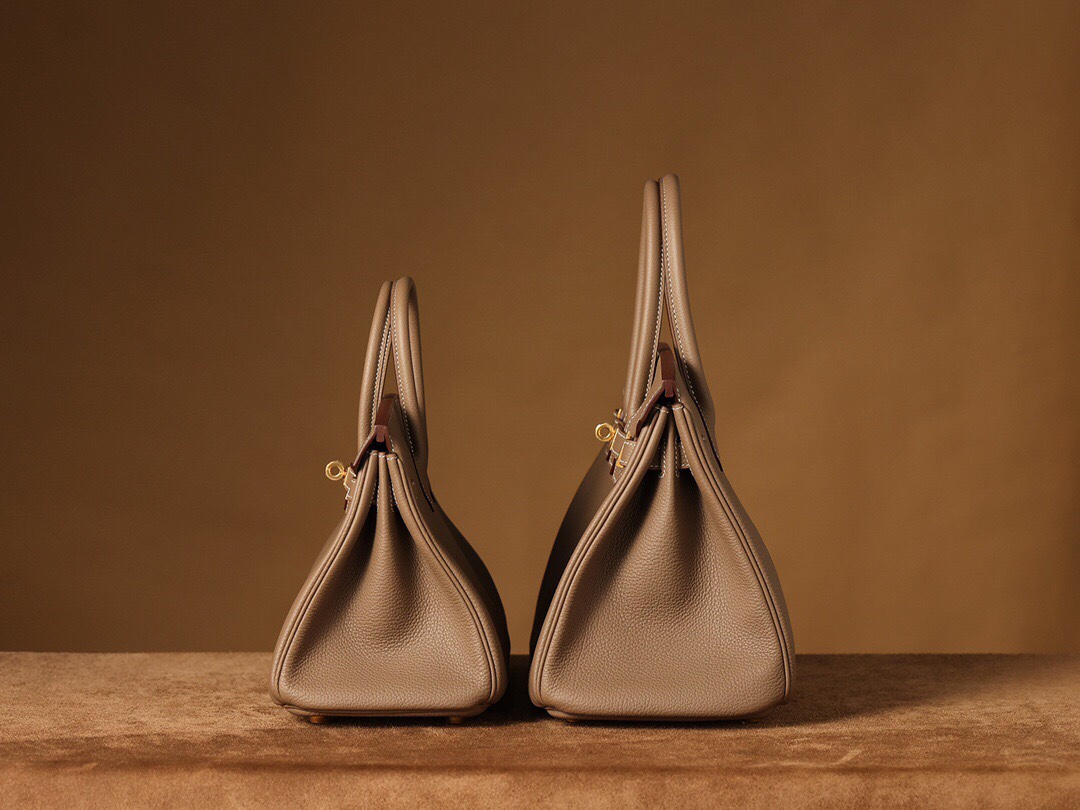 Birkin 25 togo leather