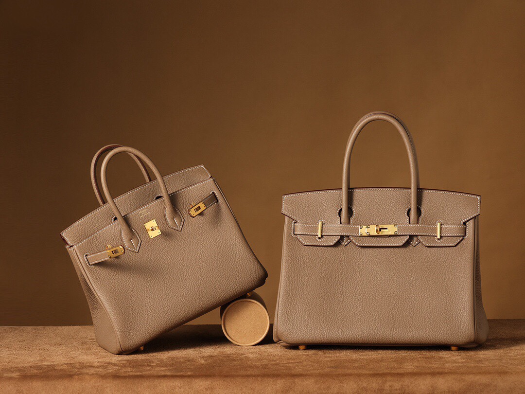 Birkin 25 togo leather