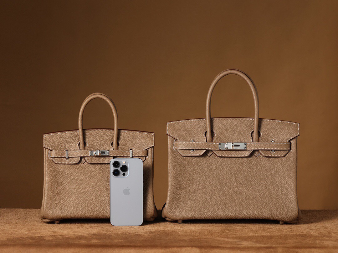 Birkin 25 togo leather