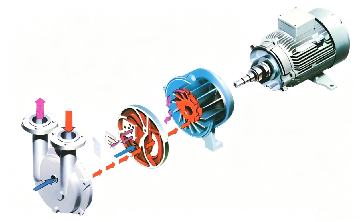 2BV Series Water Ring Vacuum Pump / Unit