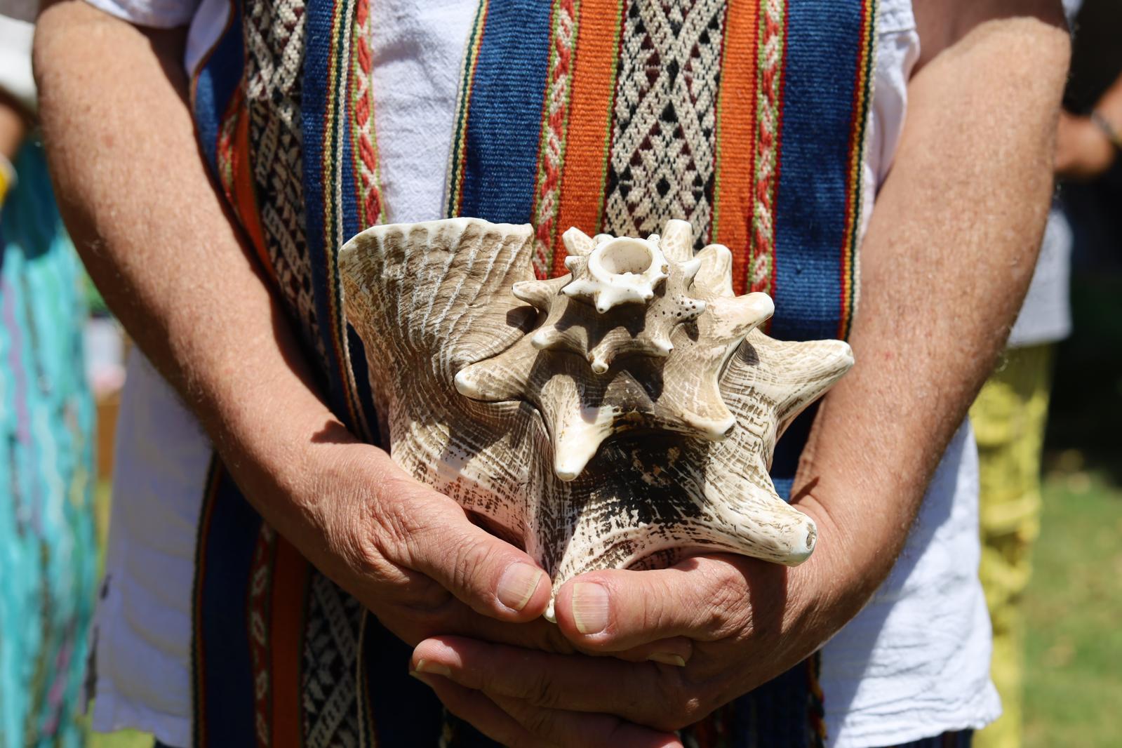 Pututu Ceremonial  ( caracola)