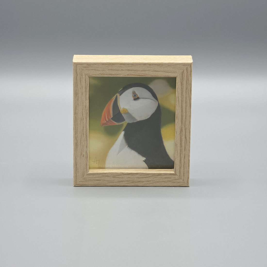 Delightful Puffin Miniature Print in a Box Frame