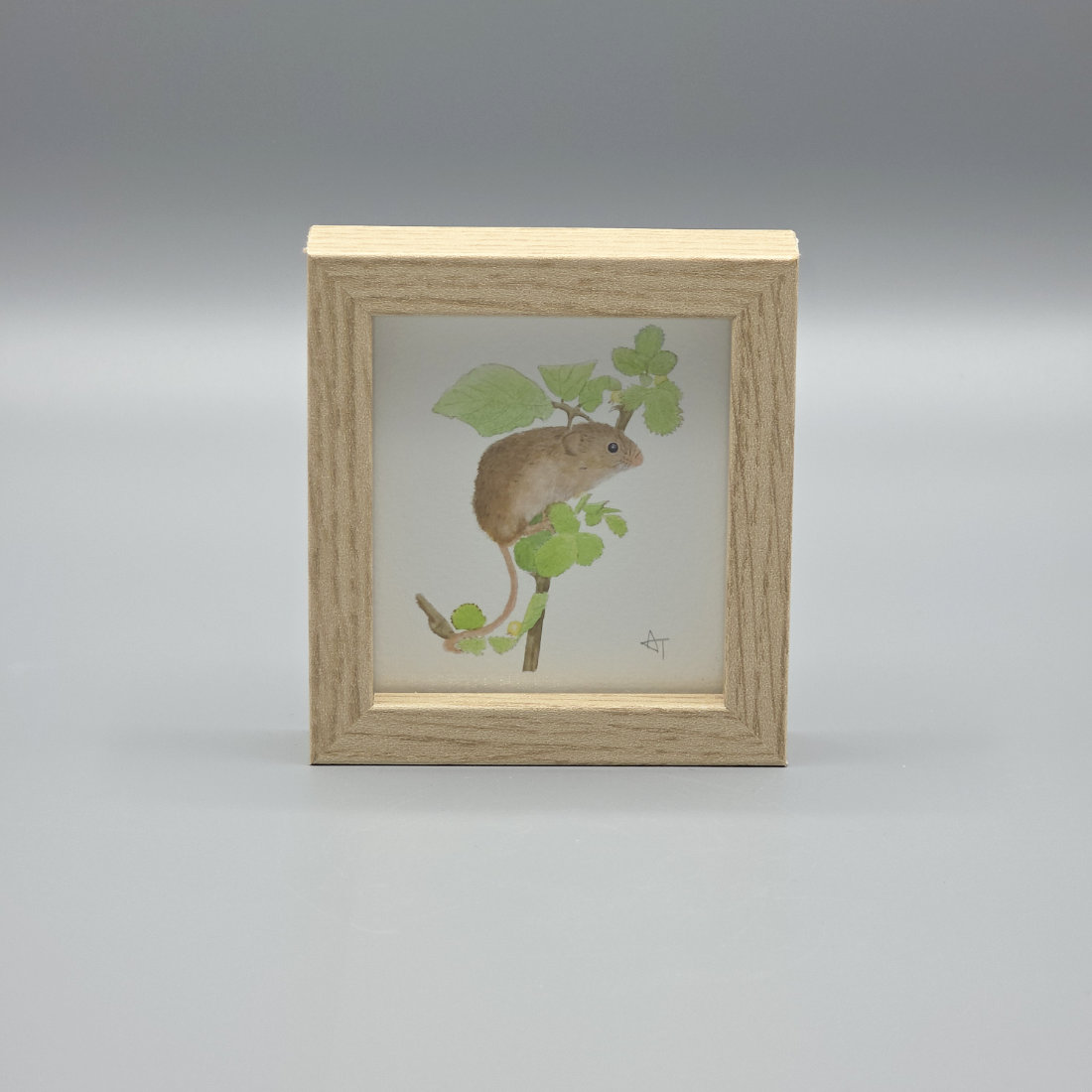 Harvest Mouse Miniature Print in a Box Frame