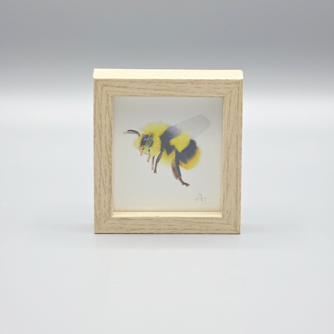 Bee Miniature Print in a Box Frame
