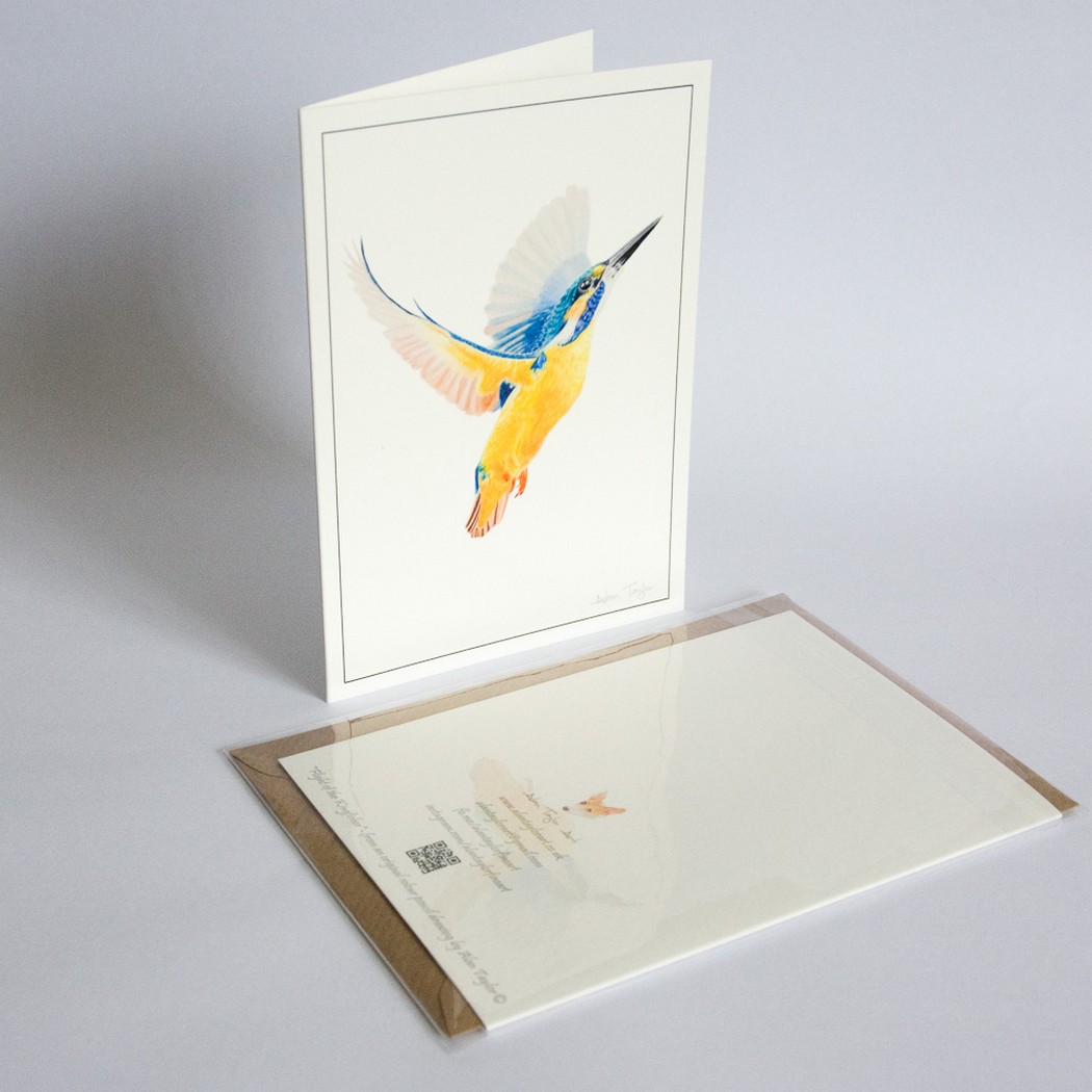 Kingfisher Art Greeting Card