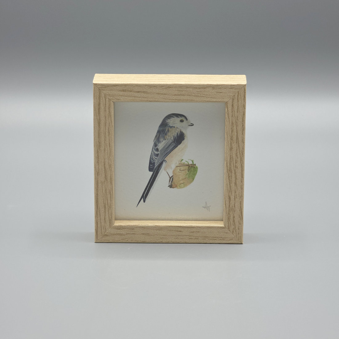 Long Tailed Tit Miniature Print in a Box Frame