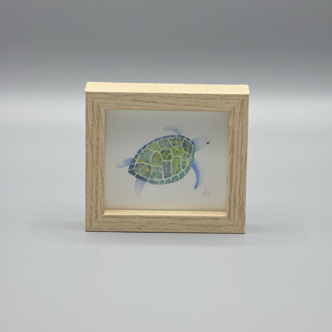 Turtle Miniature Print in a Box Frame