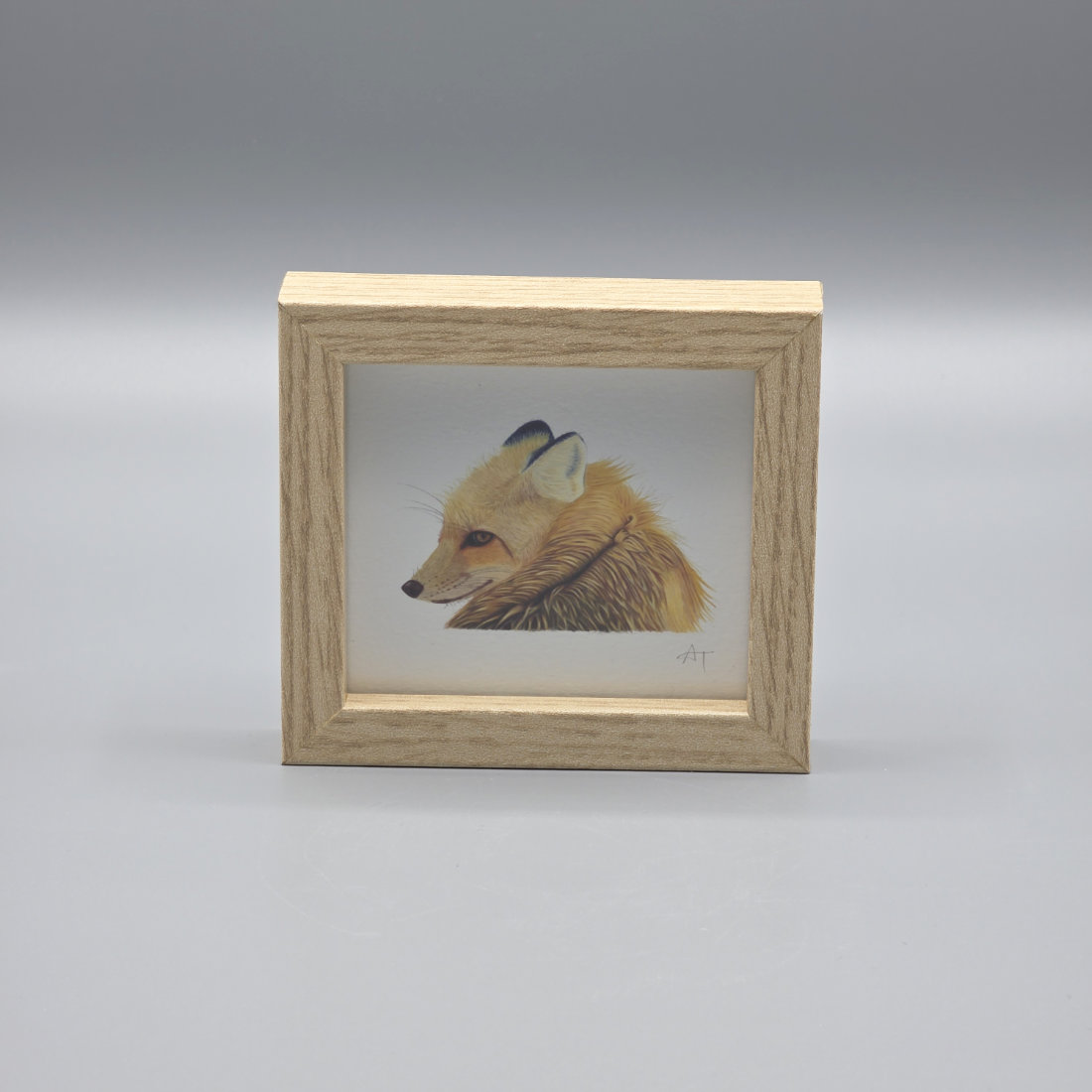 Fox Miniature Print in a Box Frame