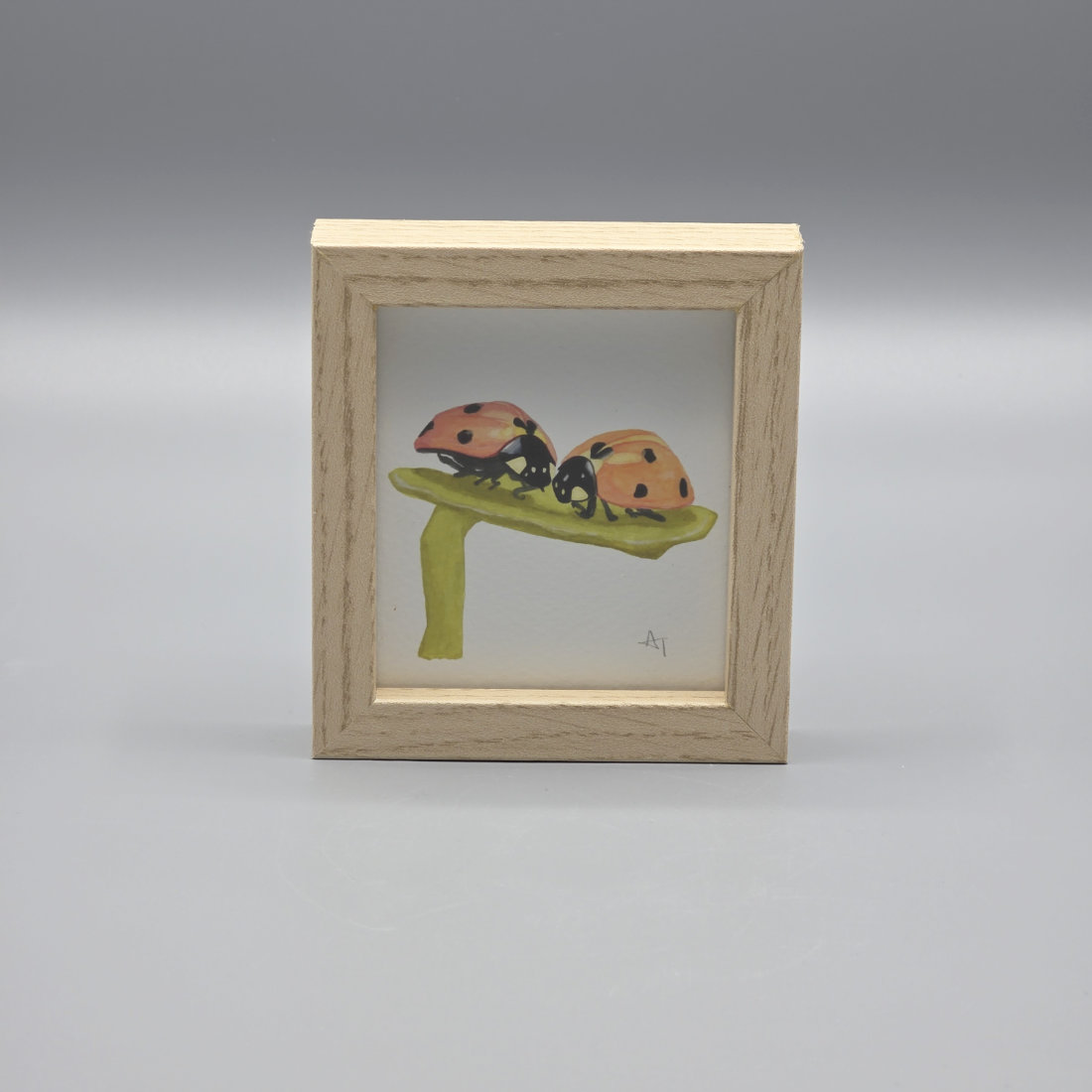 Ladybird Miniature Print in a Box Frame
