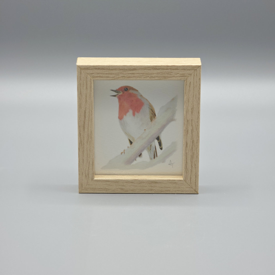Traditional Robin Miniature Print in a Box Frame