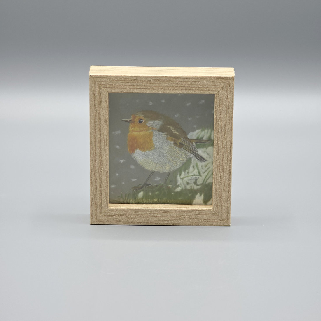 Robin Redbreast Miniature Print in a Box Frame