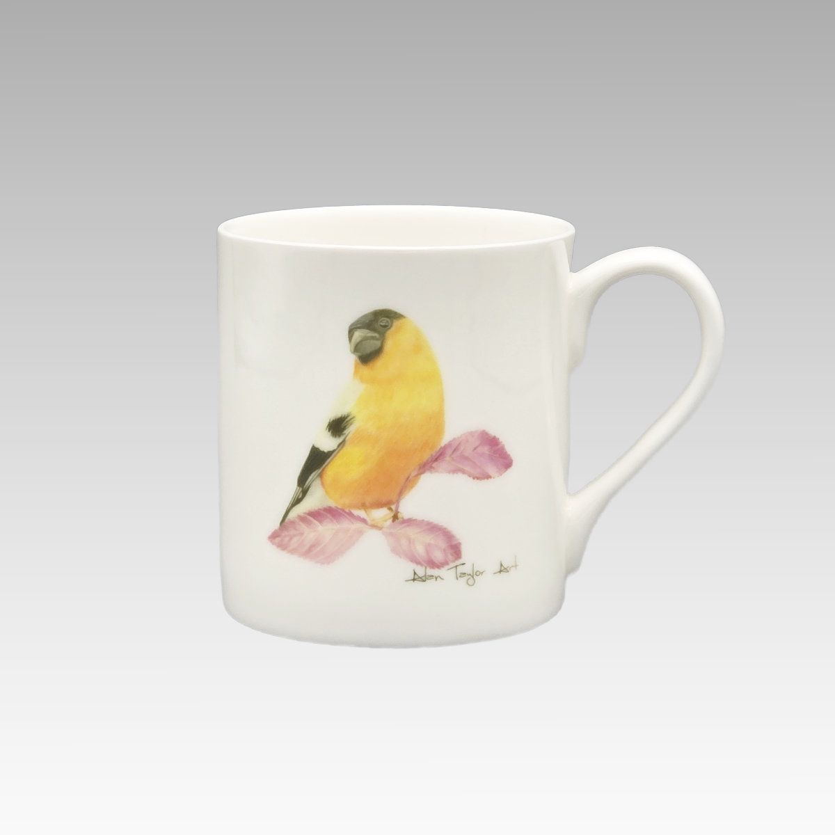 Bullfinch Mug and Coaster Set