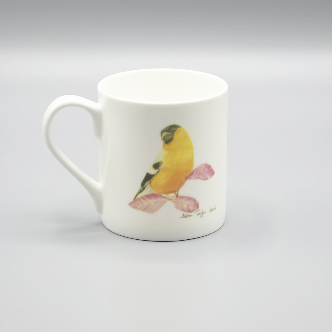 Bullfinch Mug and Coaster Set