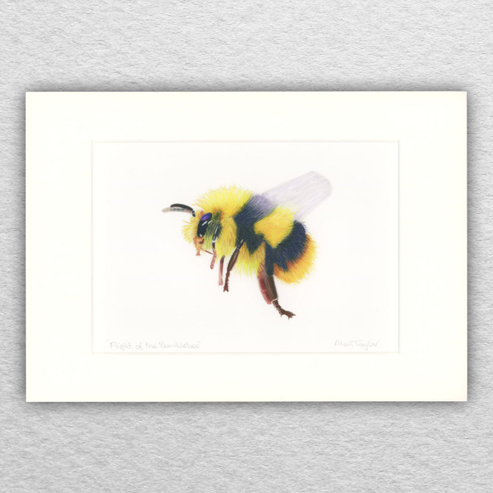 Bee Print