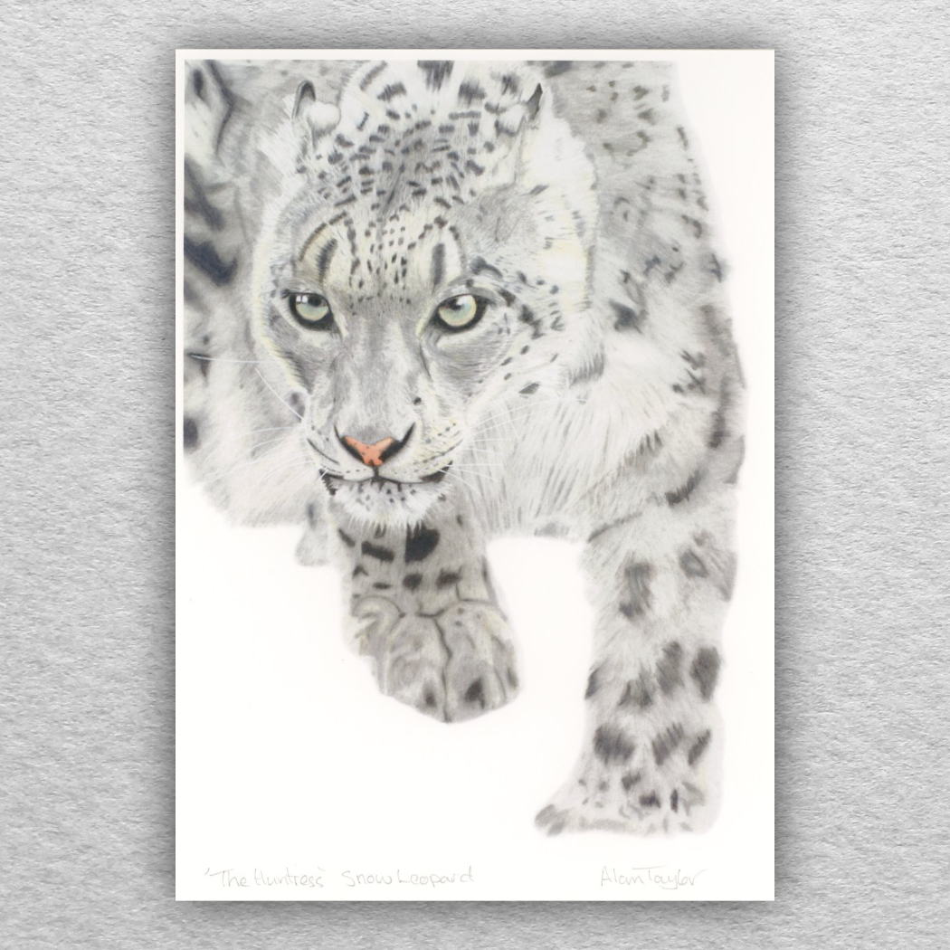 Snow Leopard Print