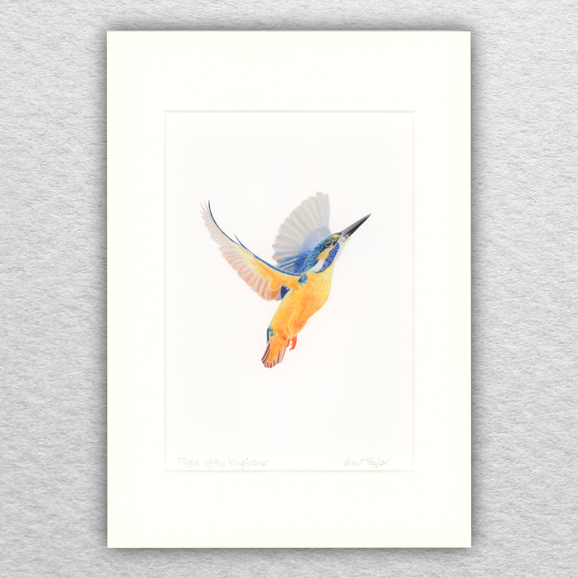 Kingfisher Print
