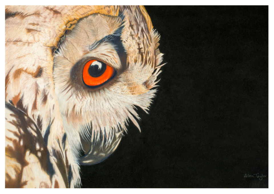 Owl Art Greeting Card