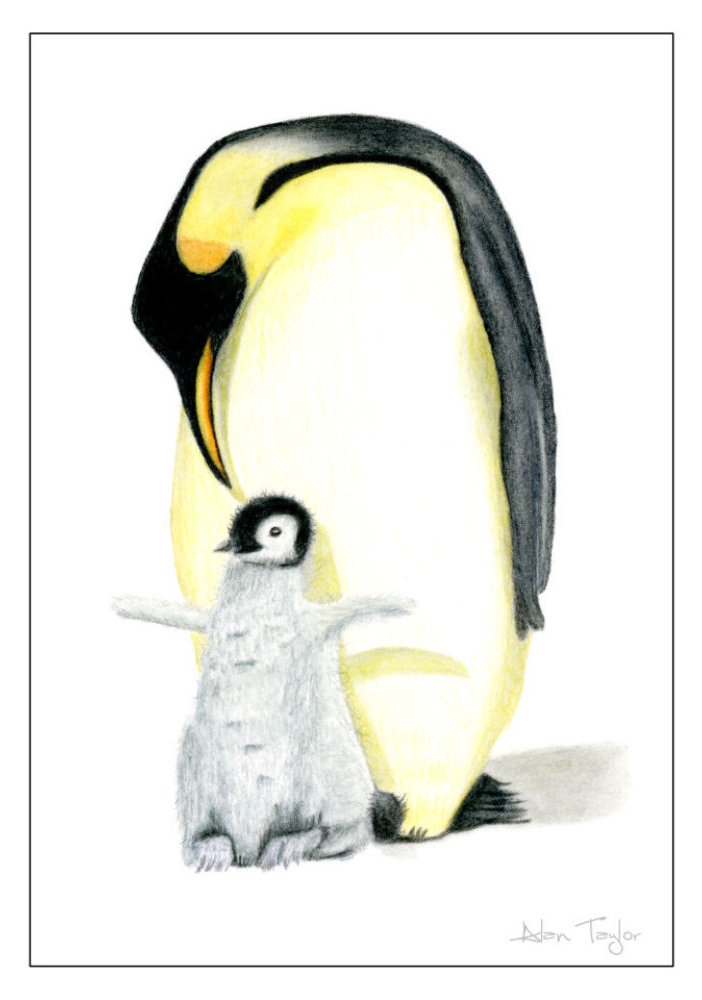 Penguin and Chick Greeting Card
