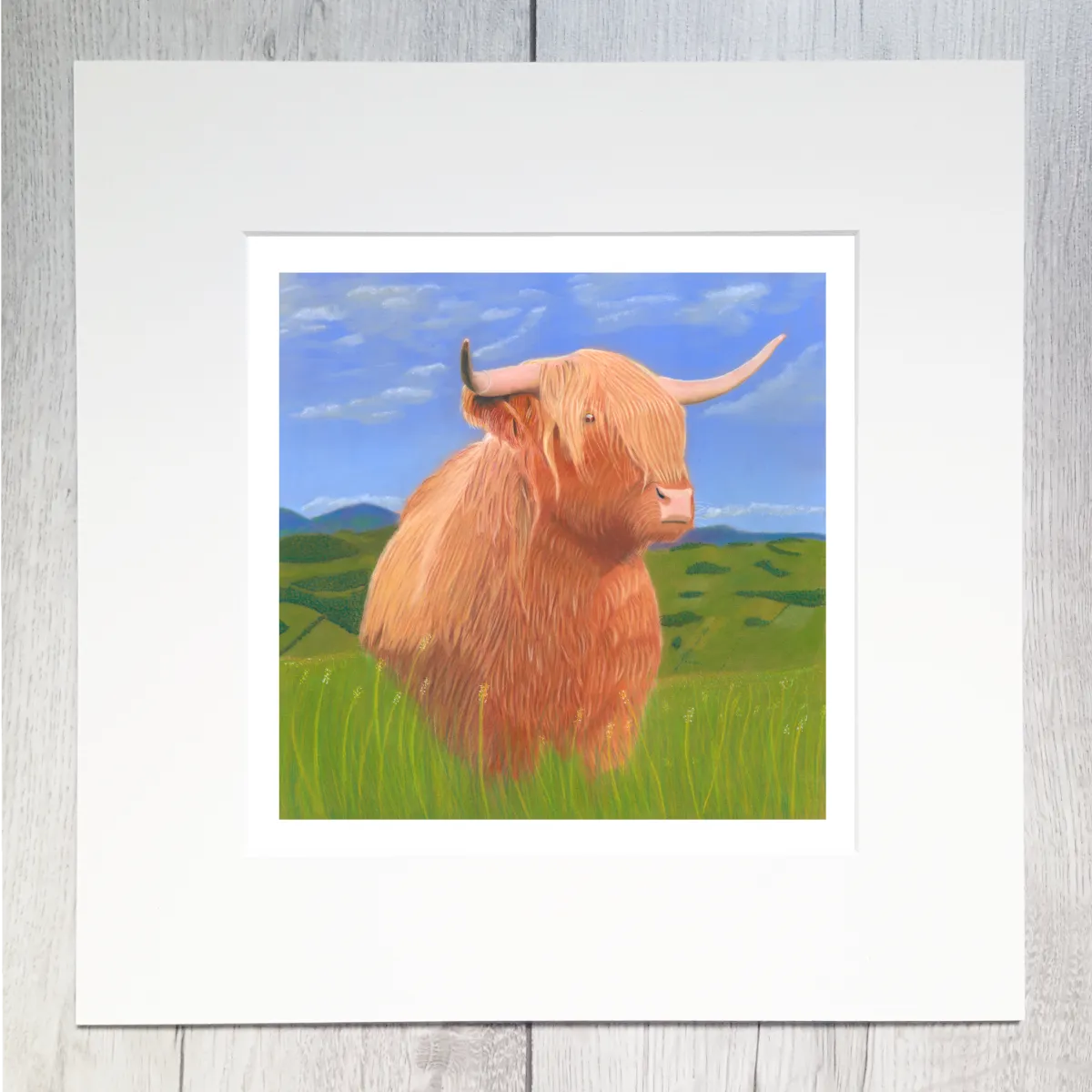 Highland Cow print 'Peek A Moo'