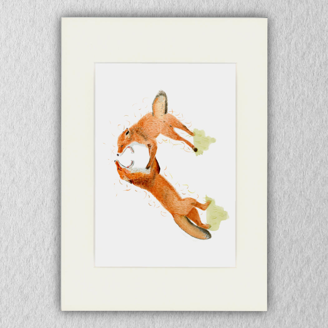 Fighting Foxes Print