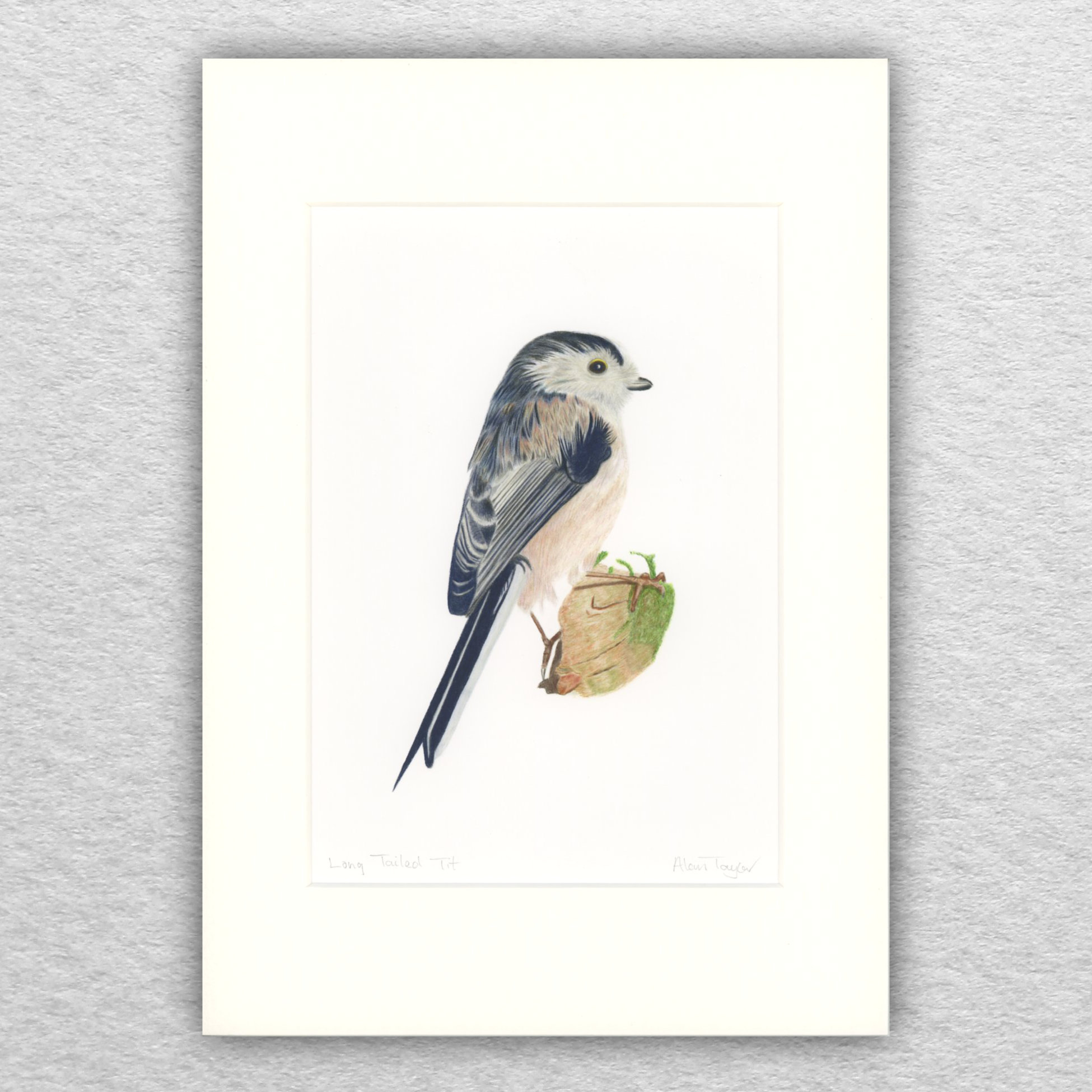 Long Tailed Tit Print