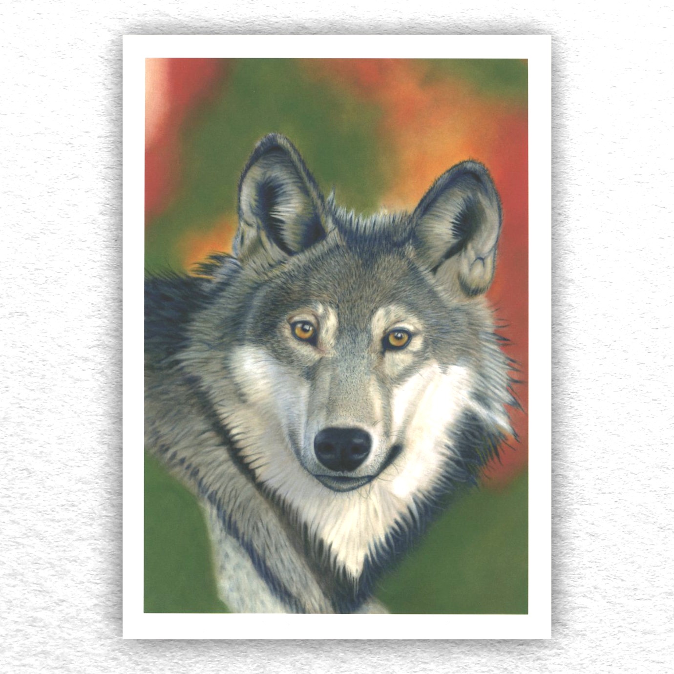 'Canis Lupus' Grey Wolf Print