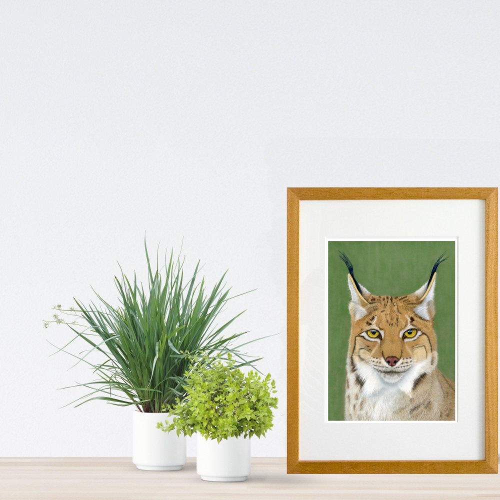 Lynx Print