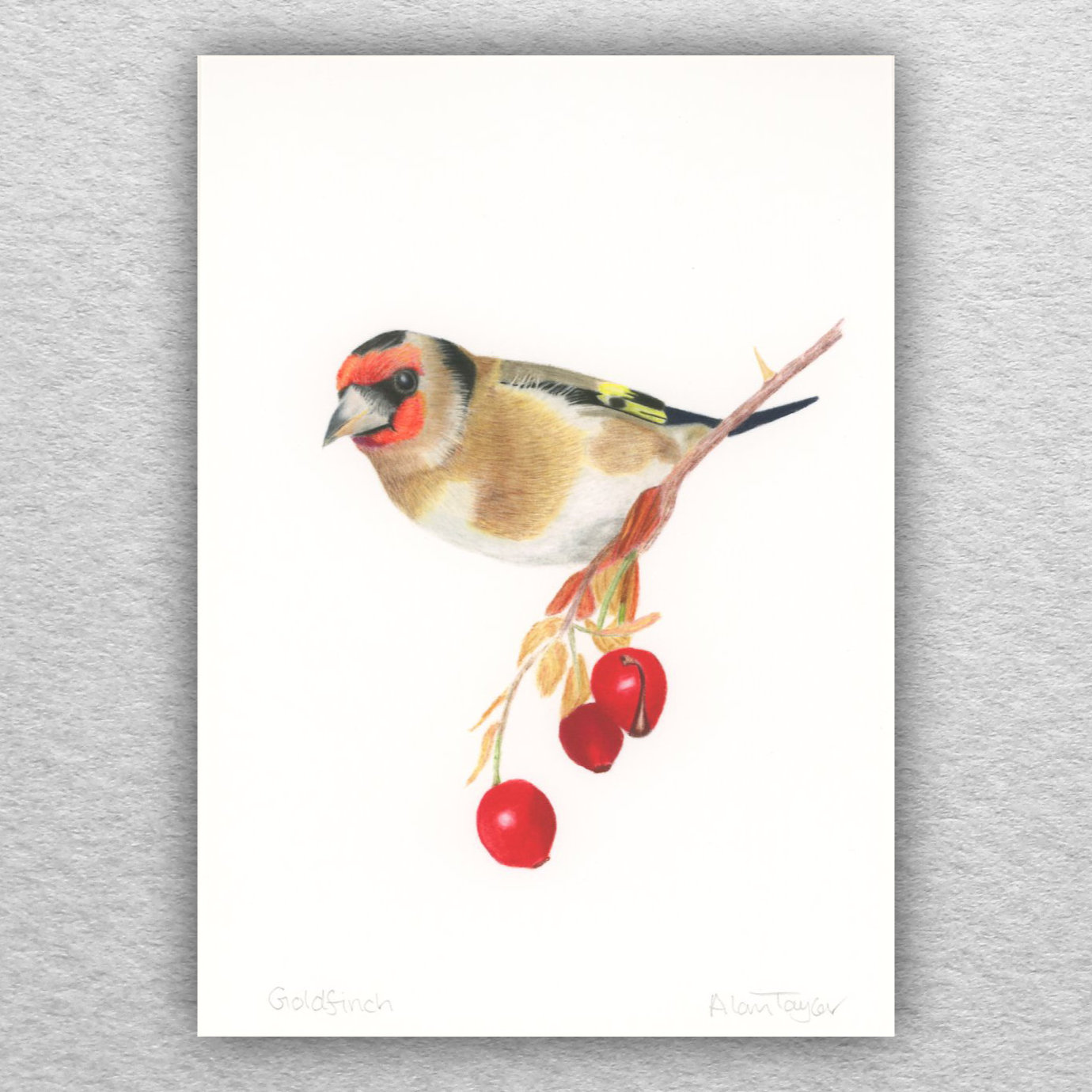 Goldfinch Print