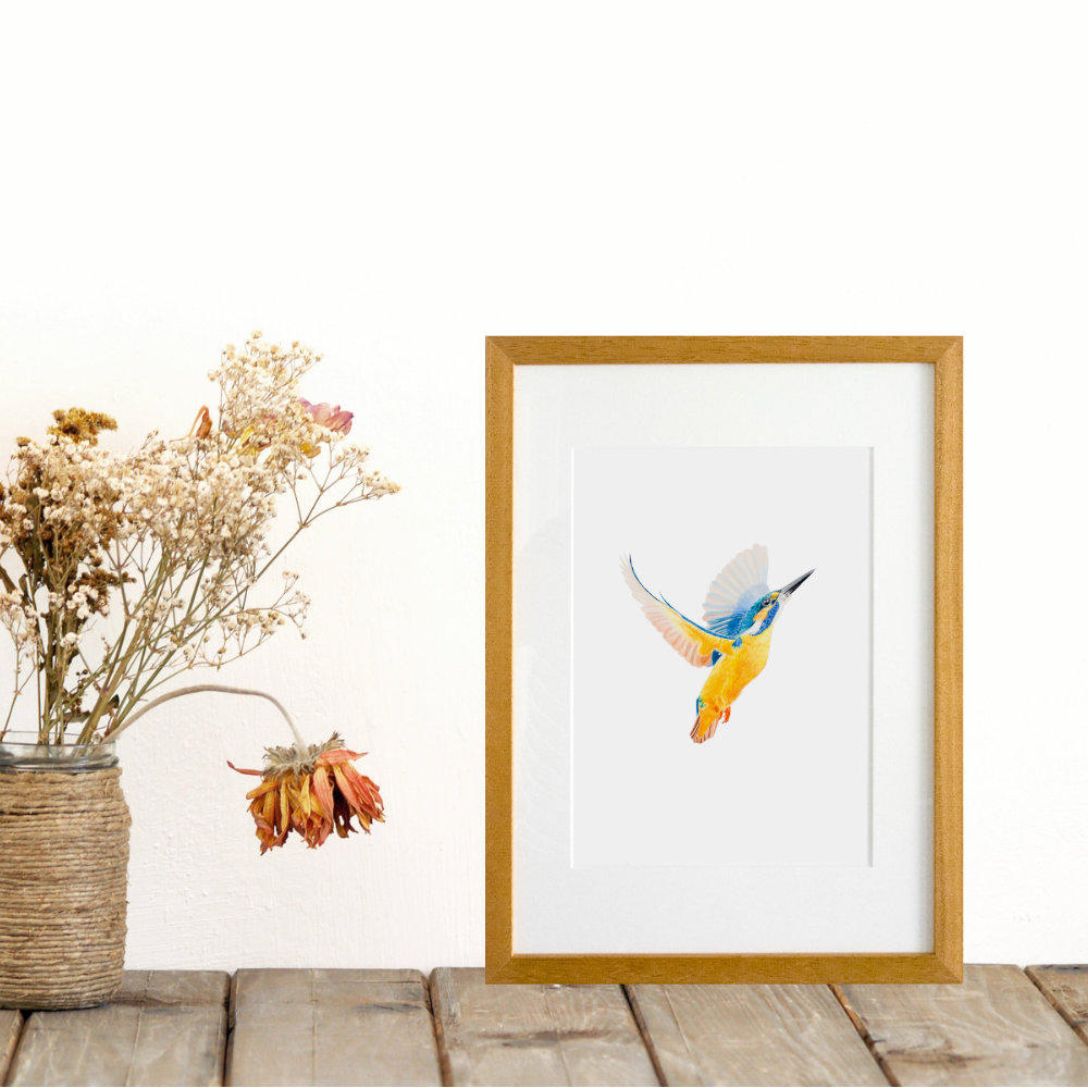 Kingfisher Print