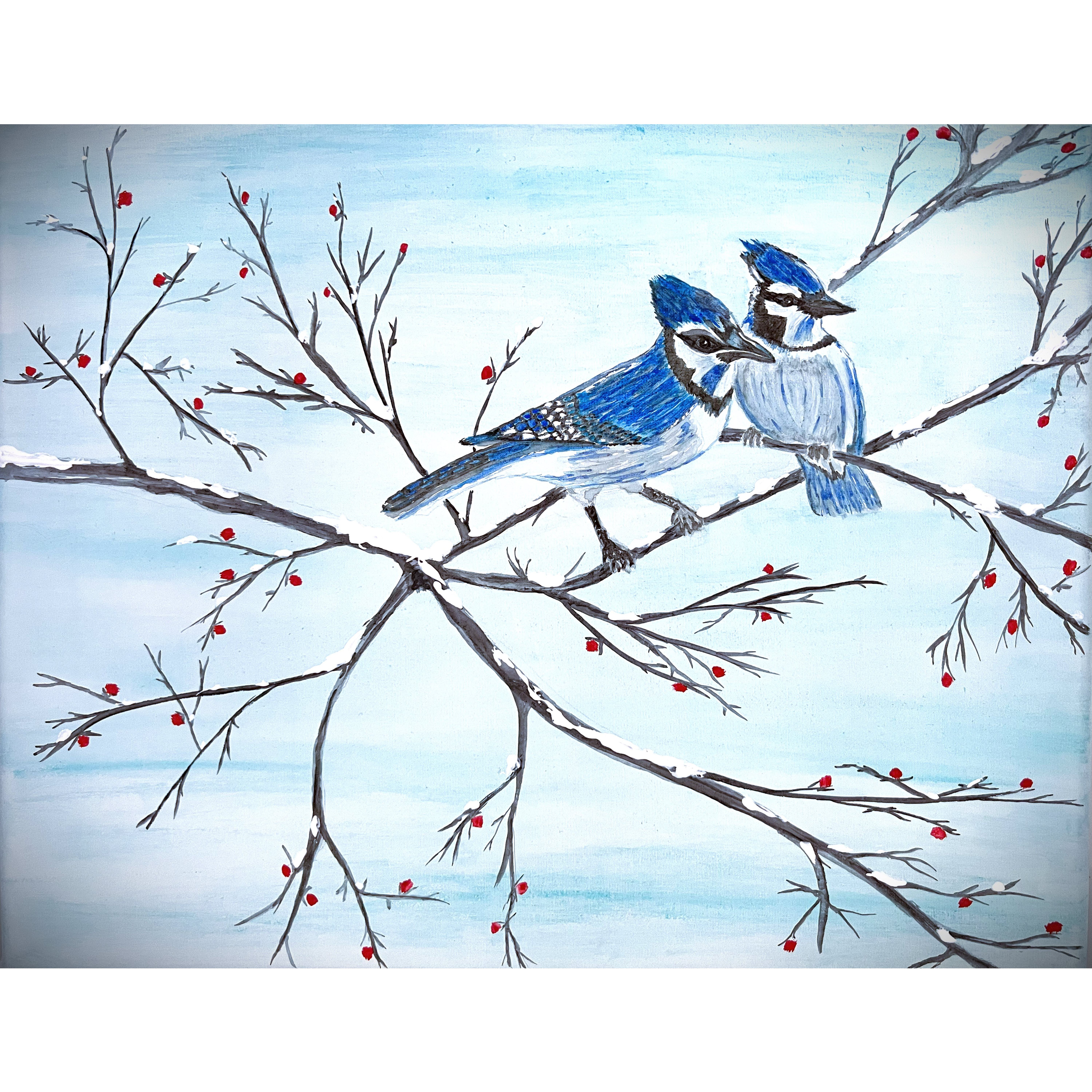 Winter Blue Jays