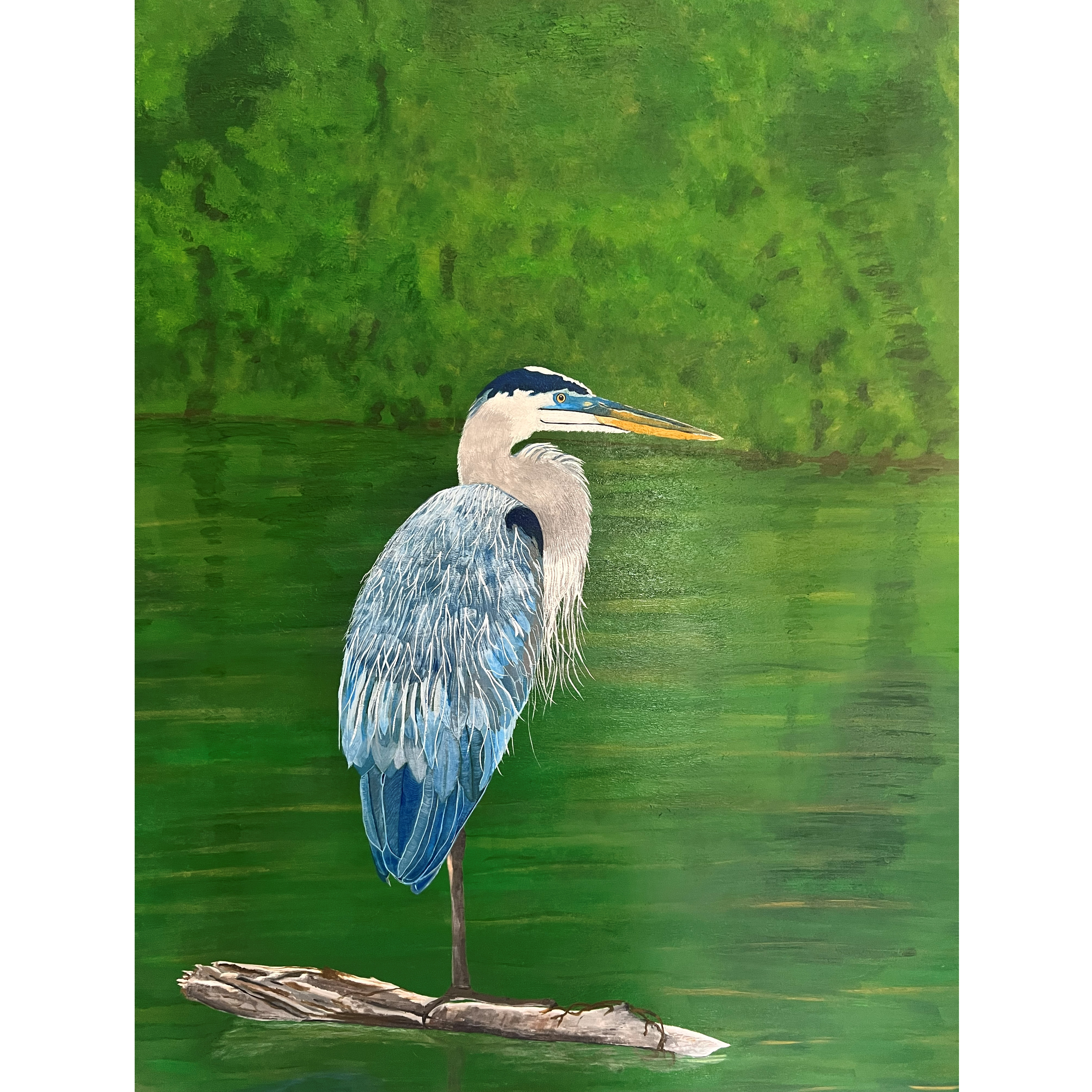 Floating Blue Heron 