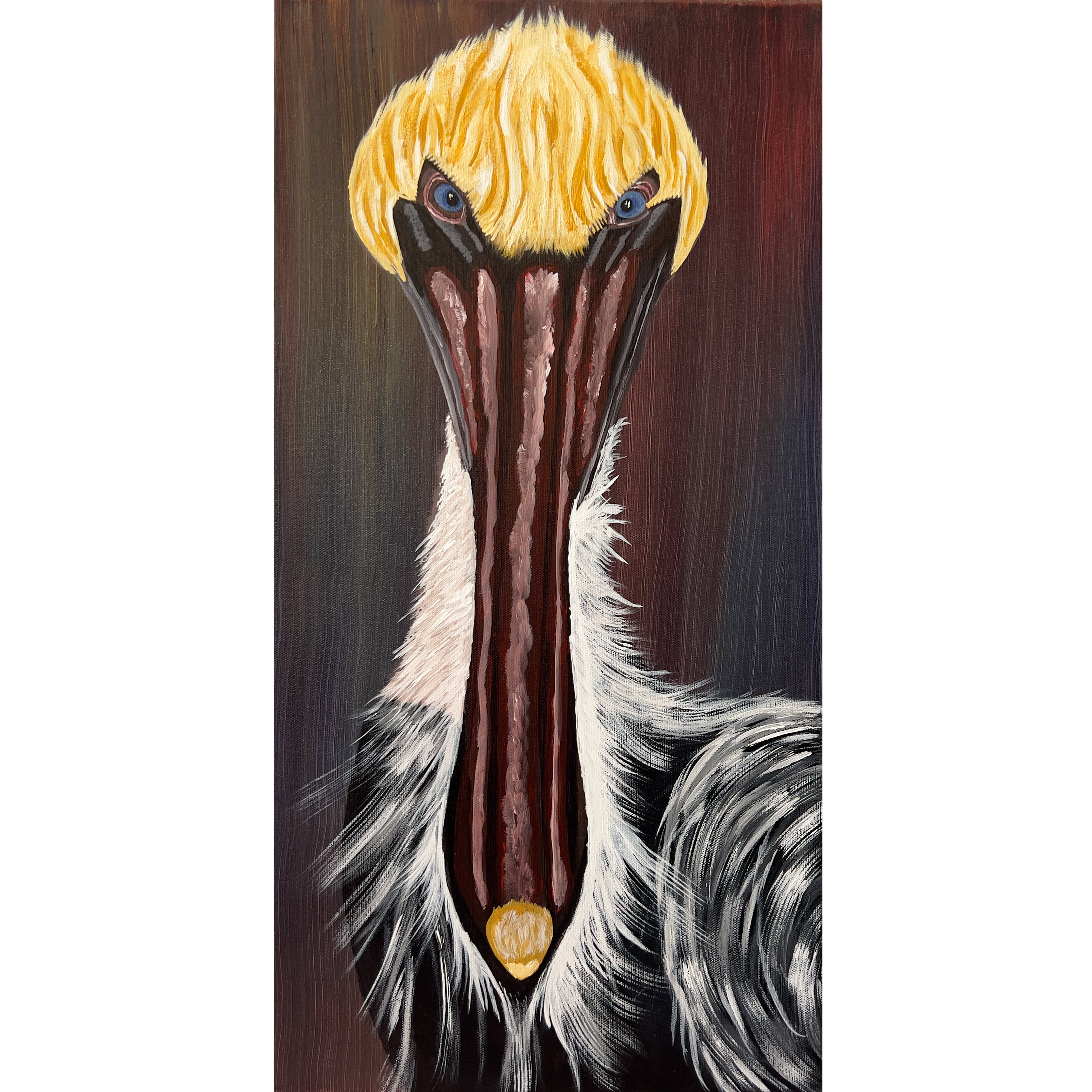 Pelican