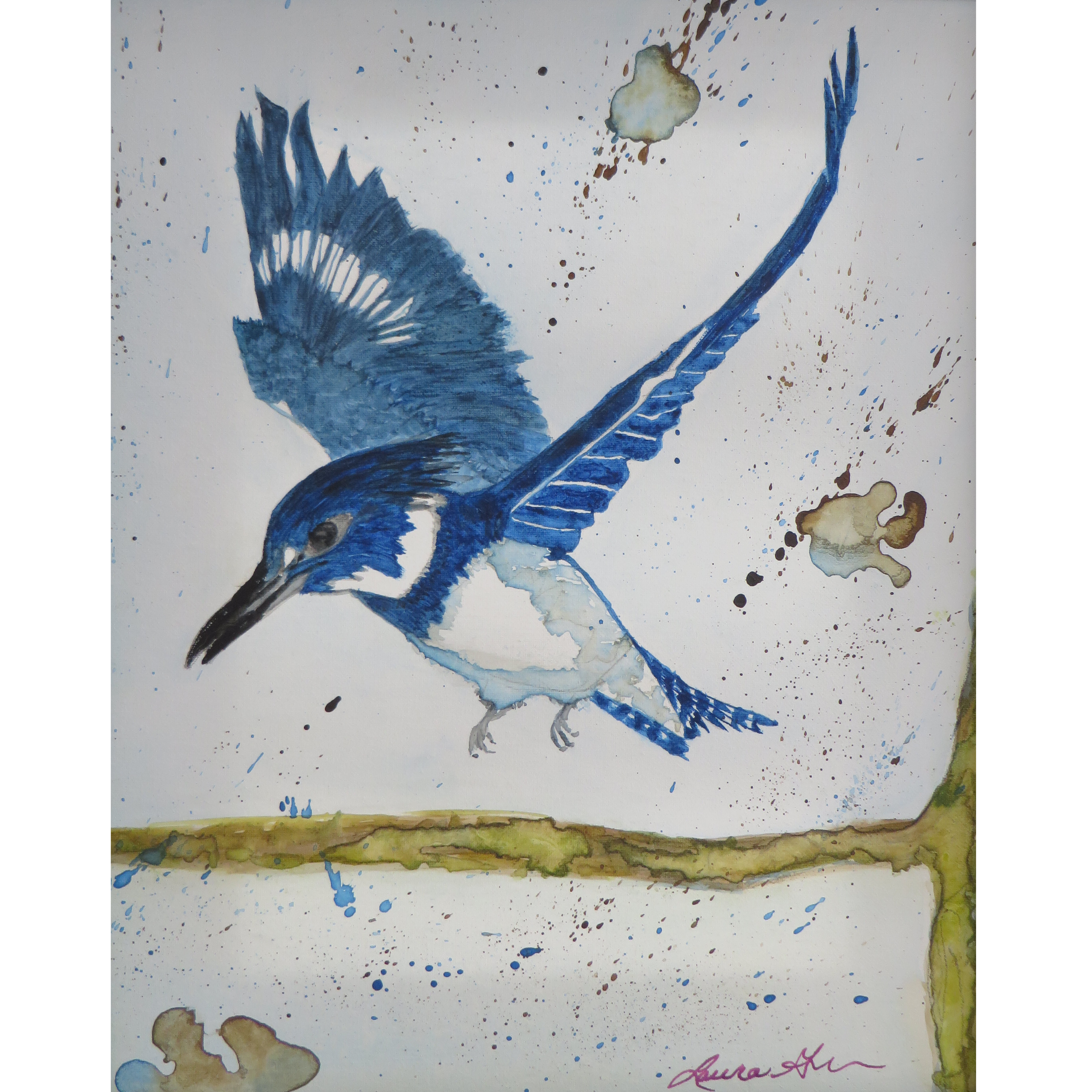 Blue Kingfisher in Flight