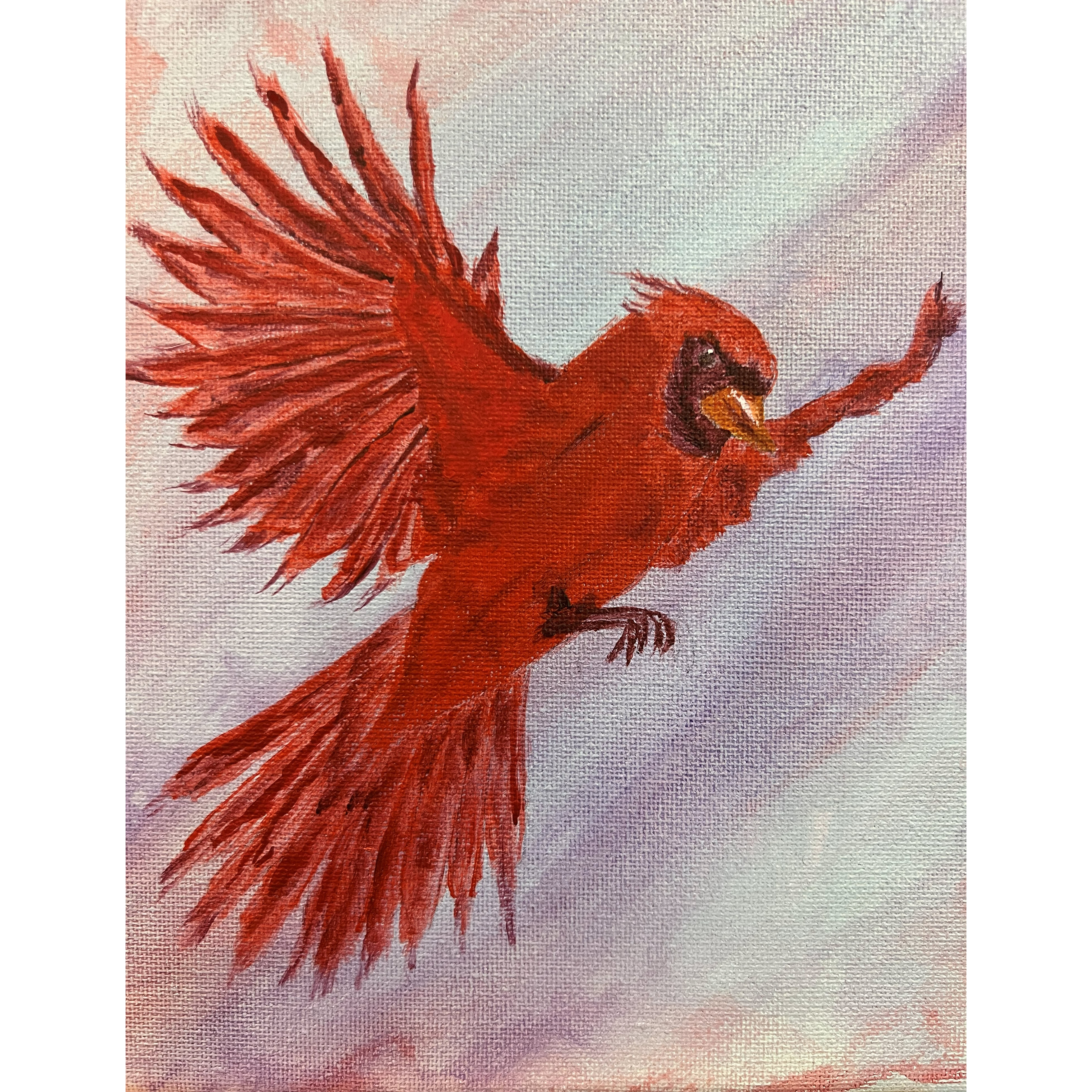 Cardinal in Flight