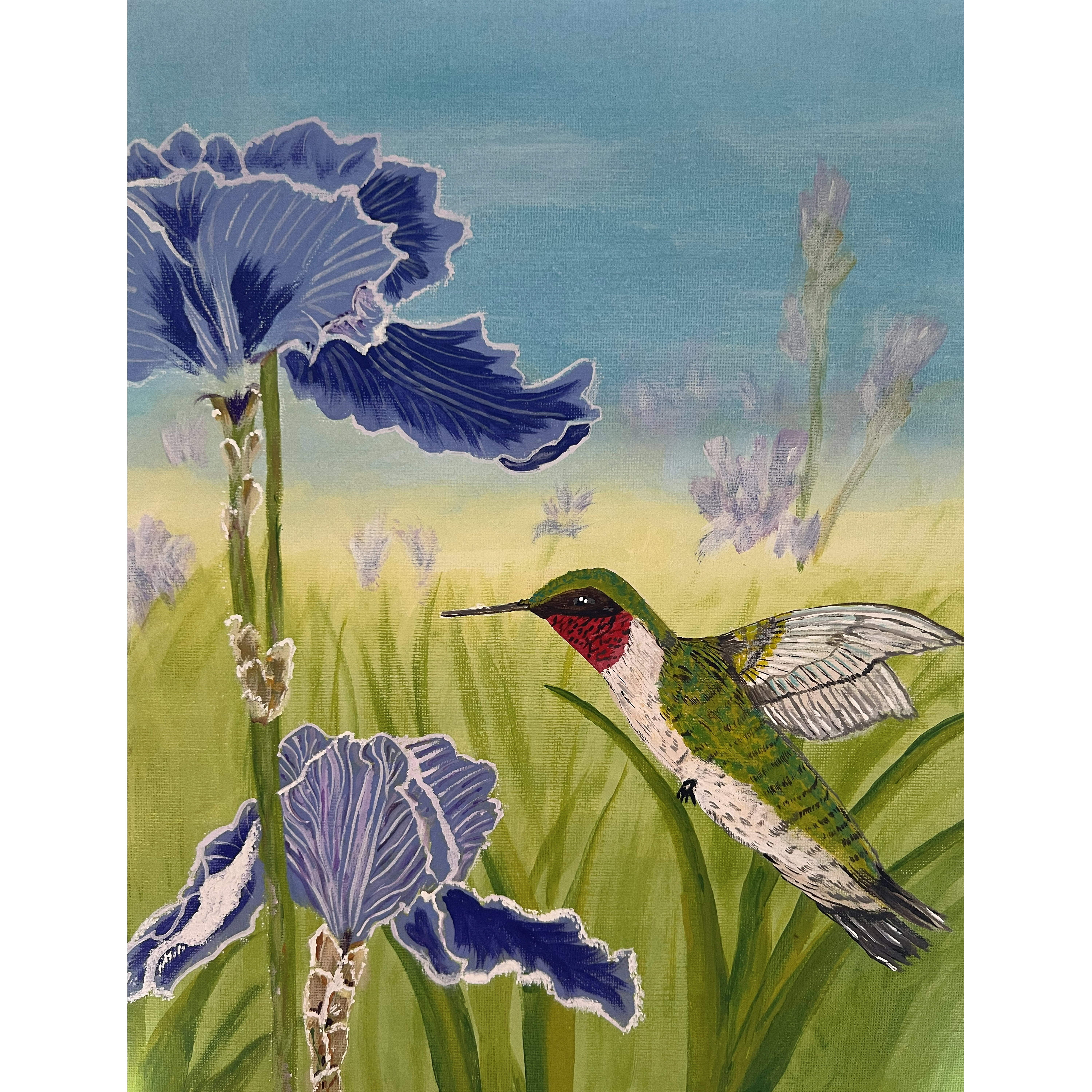 Red Throated Hummingbird