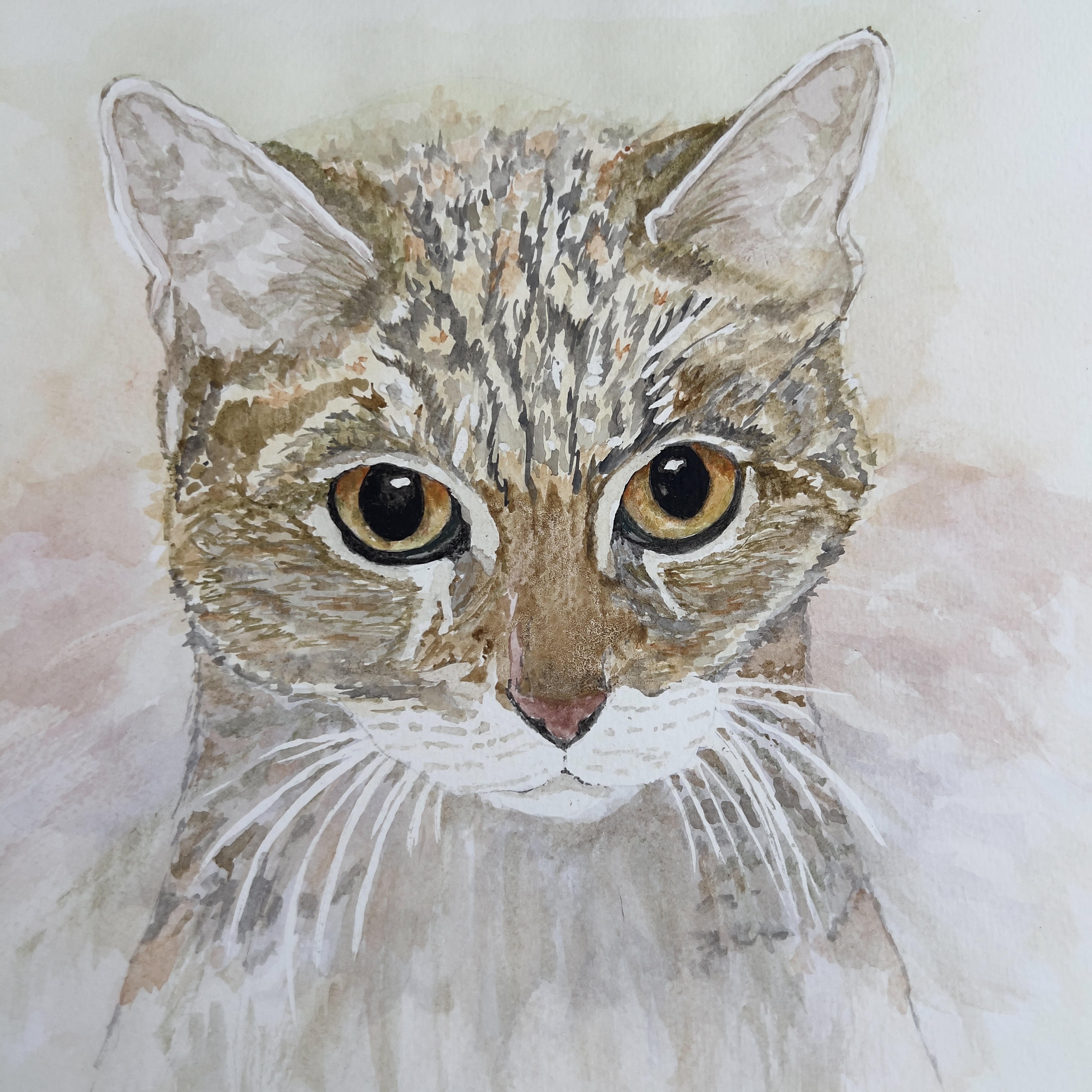 You Got My Attention