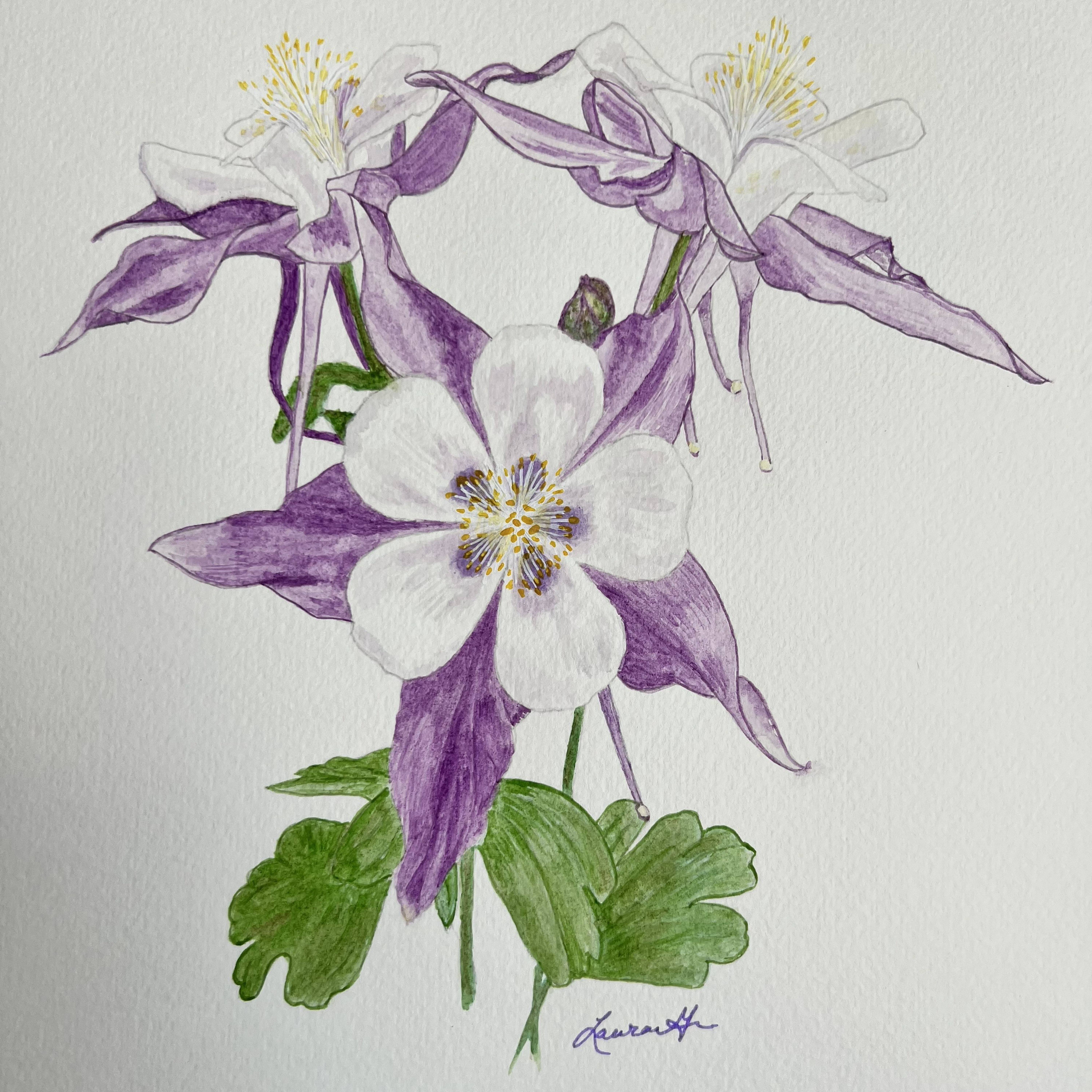 Columbine