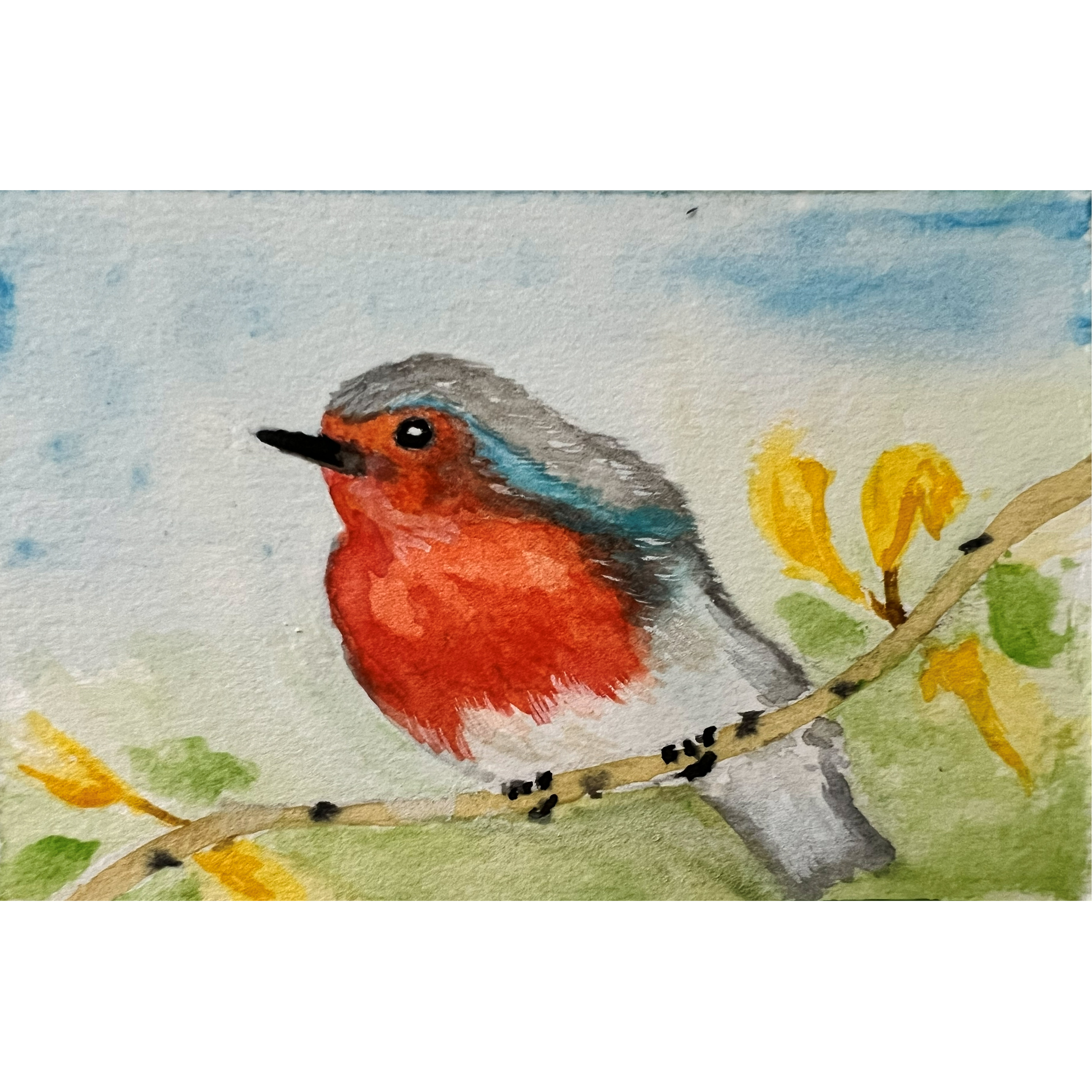 Spring Robin