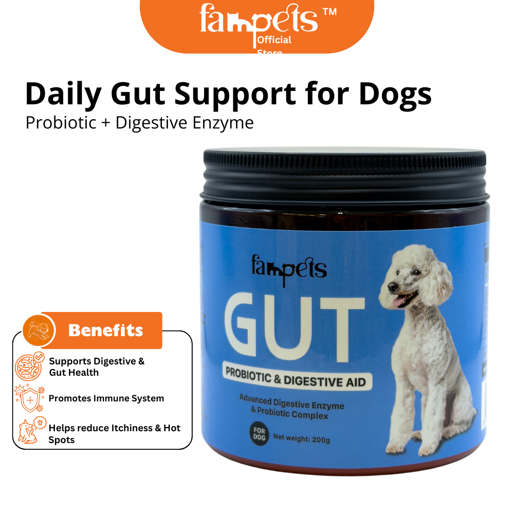 Gut Probiotic Digestive Aid for Dogs