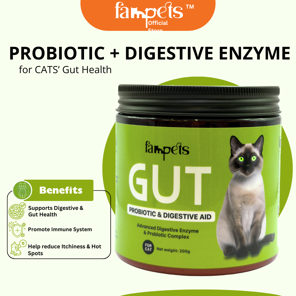 Gut Probiotic & Digestive Enzyme for Cats