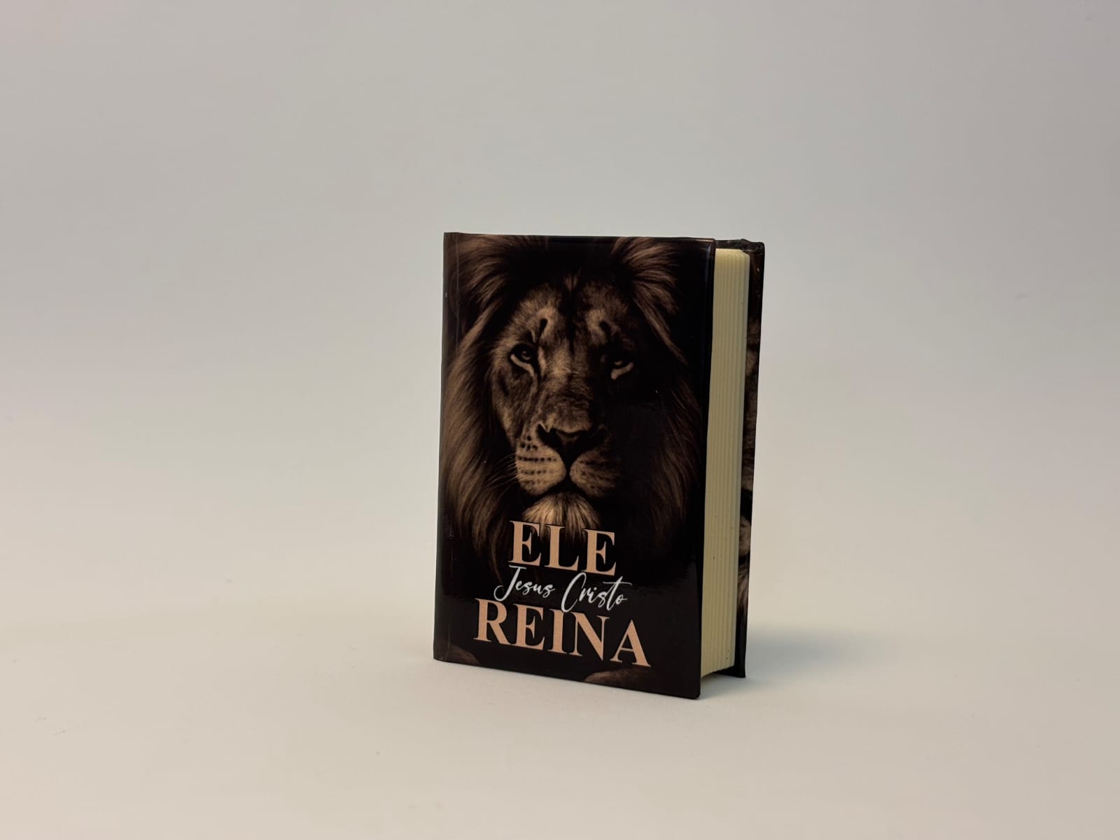 Caixinha 'Ele reina'