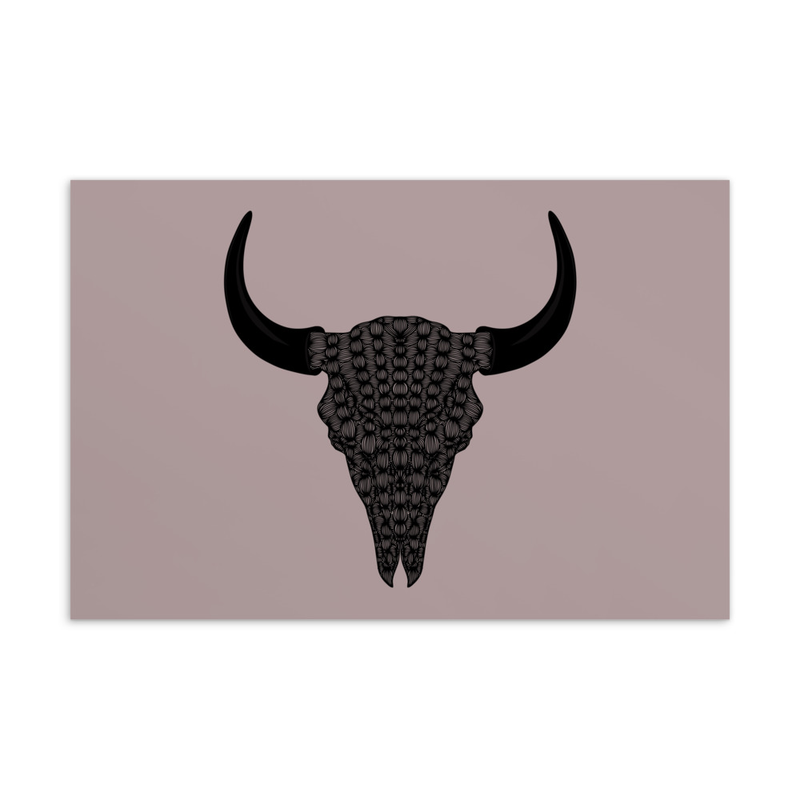 Bison Skull Postcard